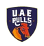 UAE Bulls Flag